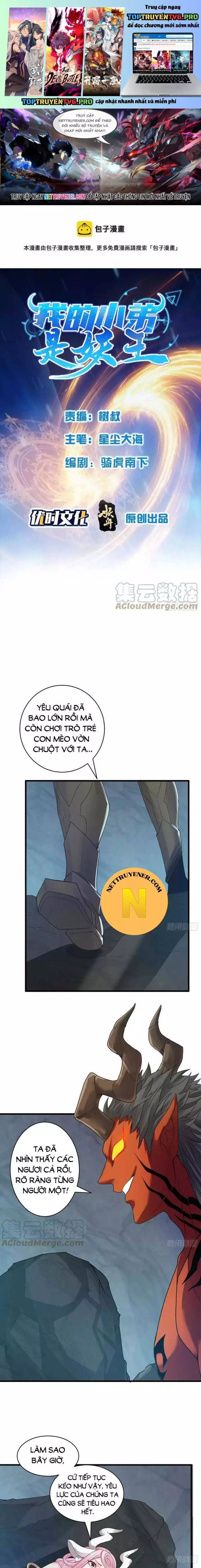 Tiểu Đệ Của Ta Là Yêu Vương Chapter 57 - Trang 2