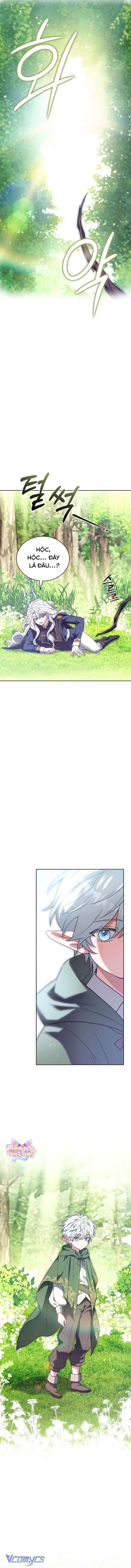 Tiểu Thư Là Kẻ Bám Đuôi Chapter 4 8