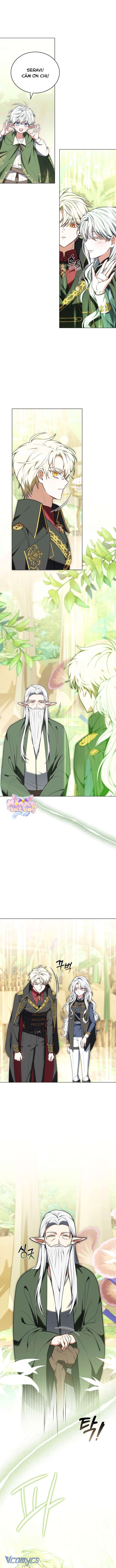 Tiểu Thư Là Kẻ Bám Đuôi Chapter 8 15