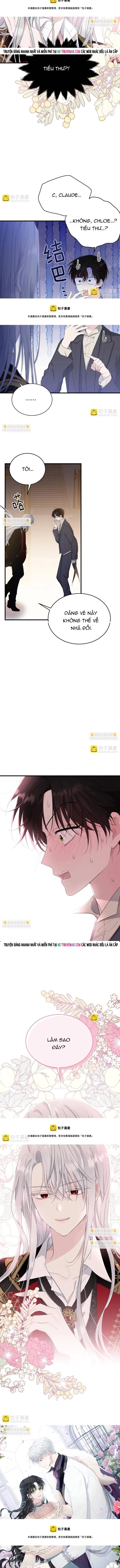 Tiểu Thư Mà Tôi Phục Vụ Biến Thành Thiếu Gia Rồi Chapter 74 - Trang 2