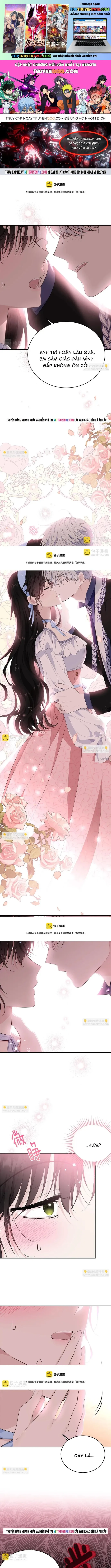 Tiểu Thư Mà Tôi Phục Vụ Biến Thành Thiếu Gia Rồi Chapter 78 - Trang 2