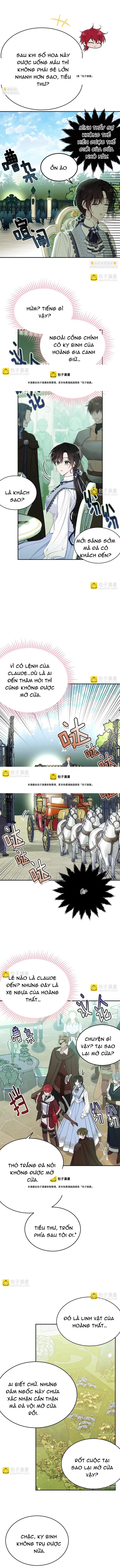 Tiểu Thư Mà Tôi Phục Vụ Biến Thành Thiếu Gia Rồi Chapter 78 - Trang 2