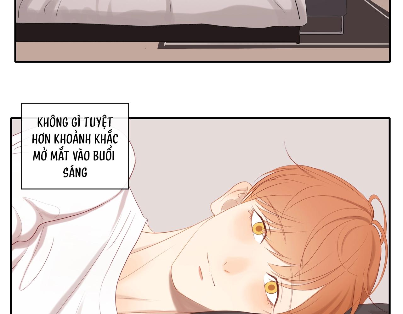 Tình Chàng 30 Chapter 82 - Trang 3