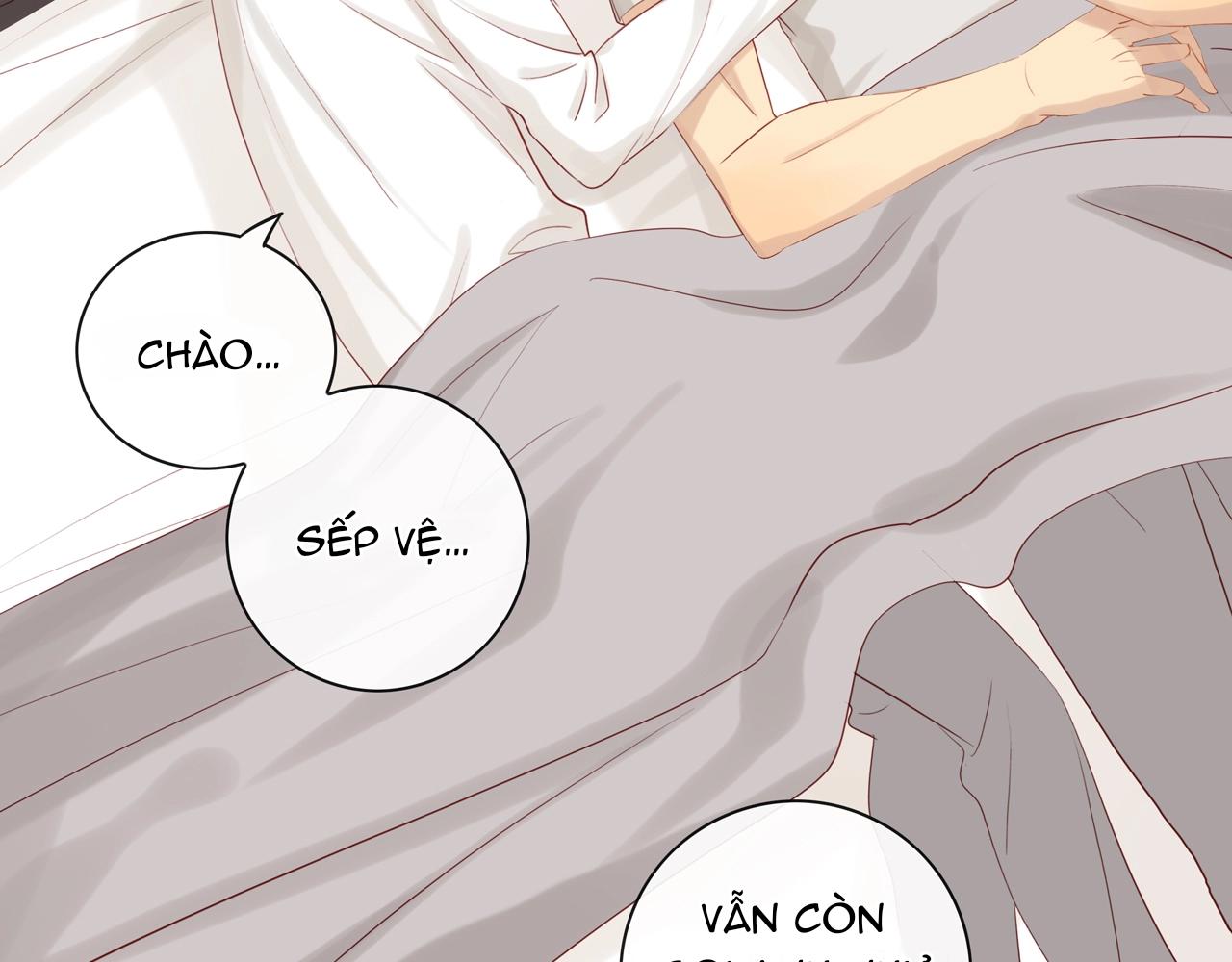 Tình Chàng 30 Chapter 82 - Trang 3
