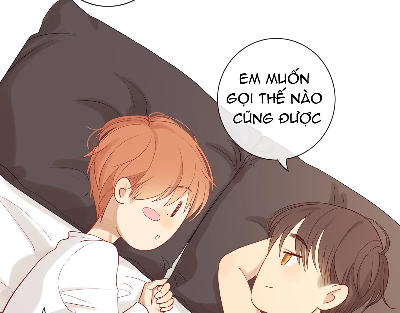 Tình Chàng 30 Chapter 82 - Trang 3