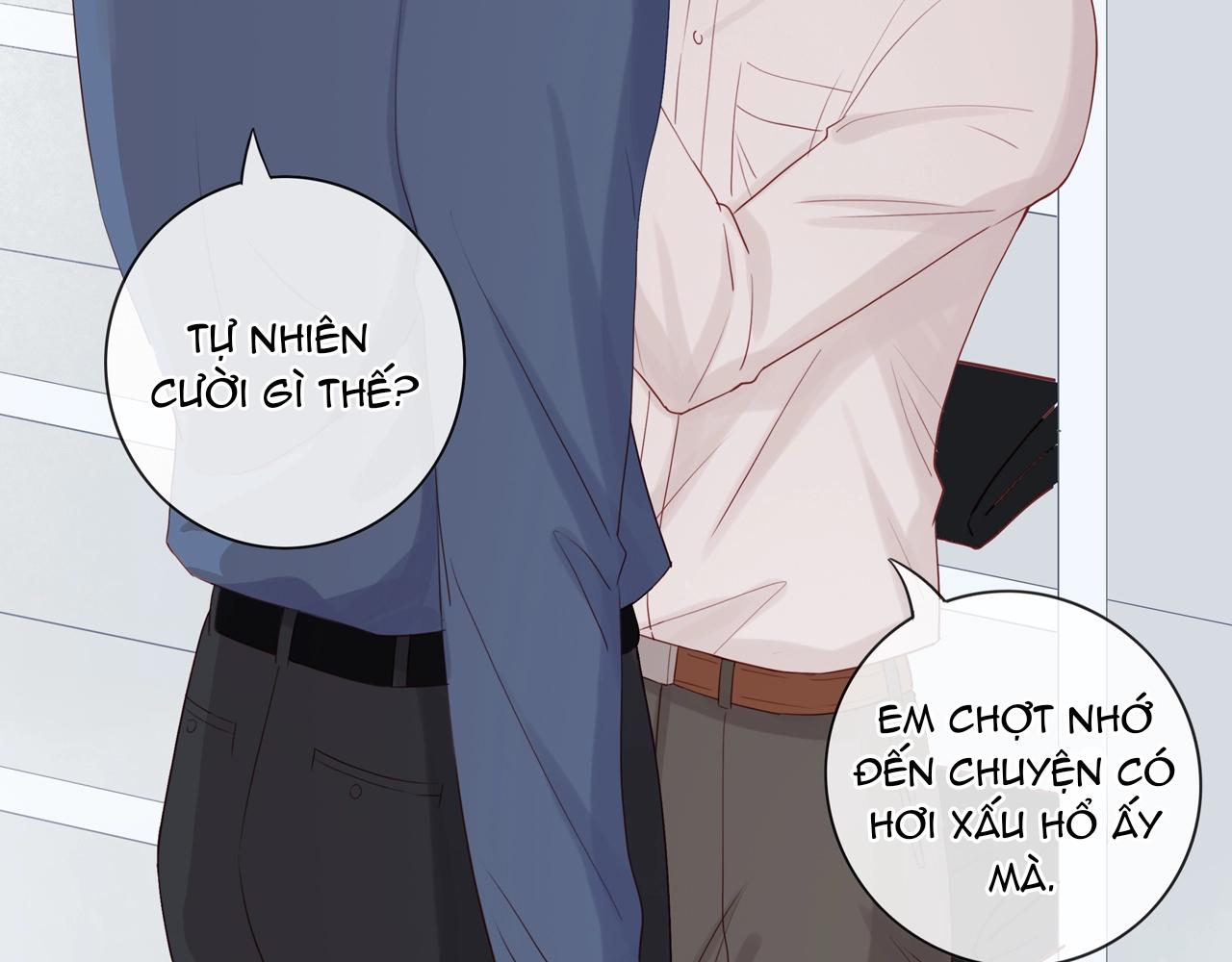 Tình Chàng 30 Chapter 82 - Trang 3