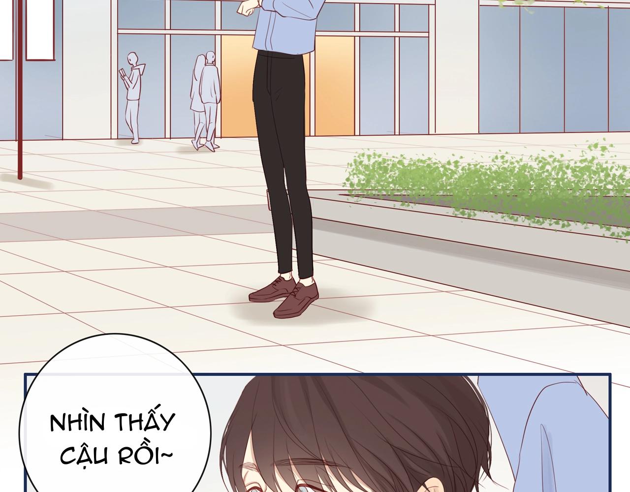 Tình Chàng 30 Chapter 82 - Trang 3
