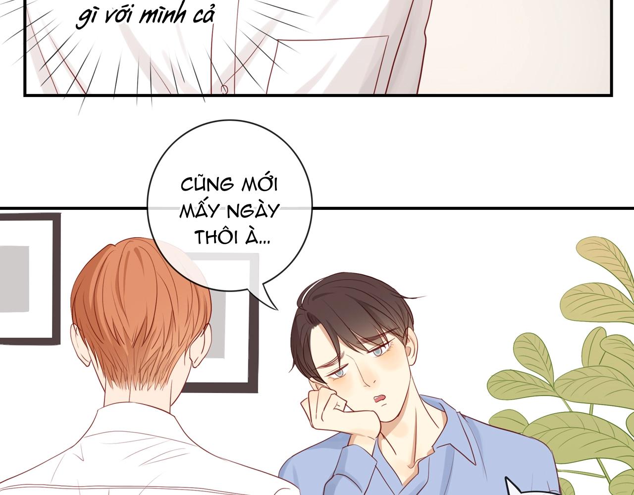 Tình Chàng 30 Chapter 82 - Trang 3