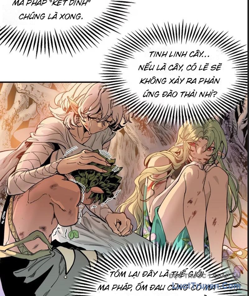 Tinh Linh Chi Hậu Chapter 19 - Trang 2