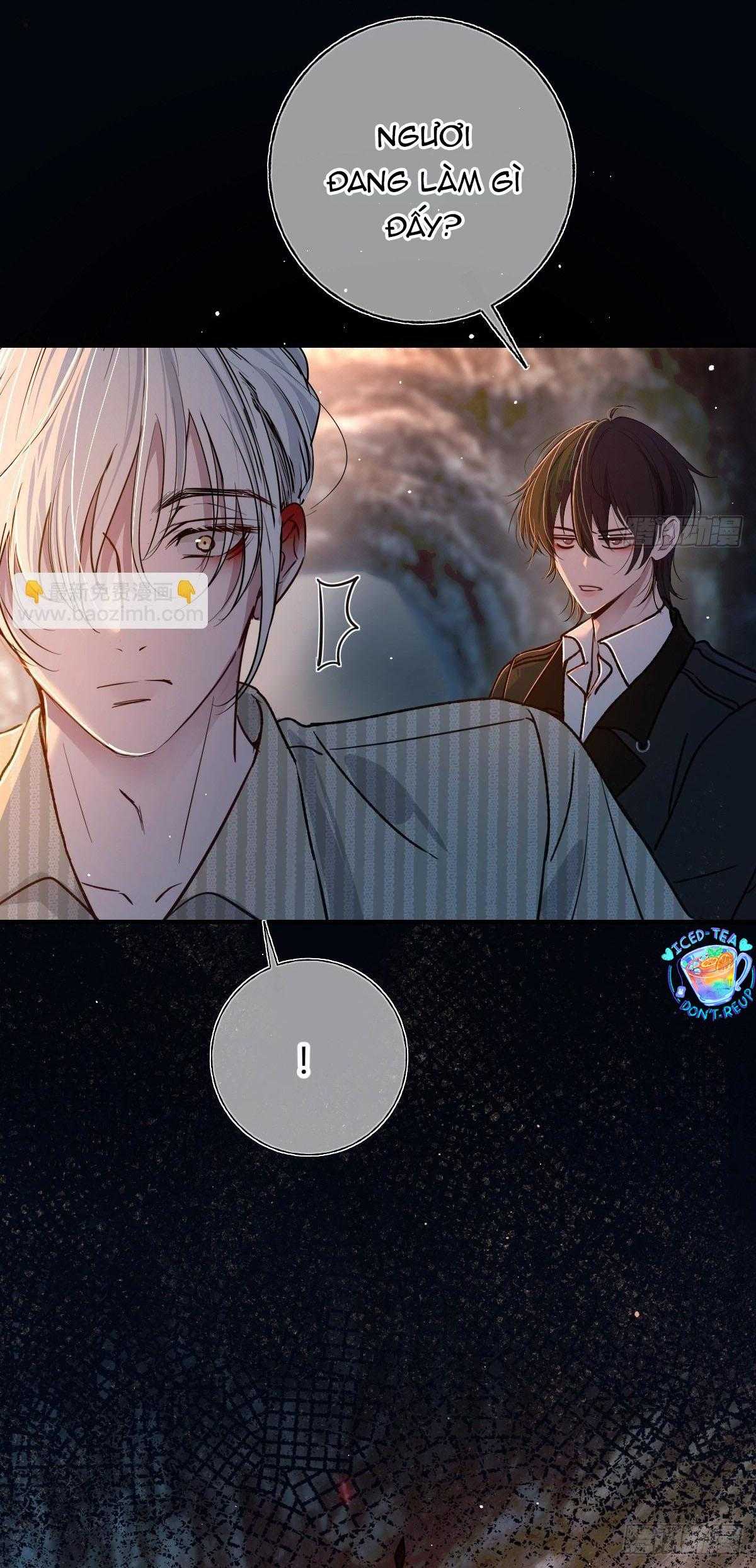 Tình yêu của kẻ khát máu Chapter 37 - Next 