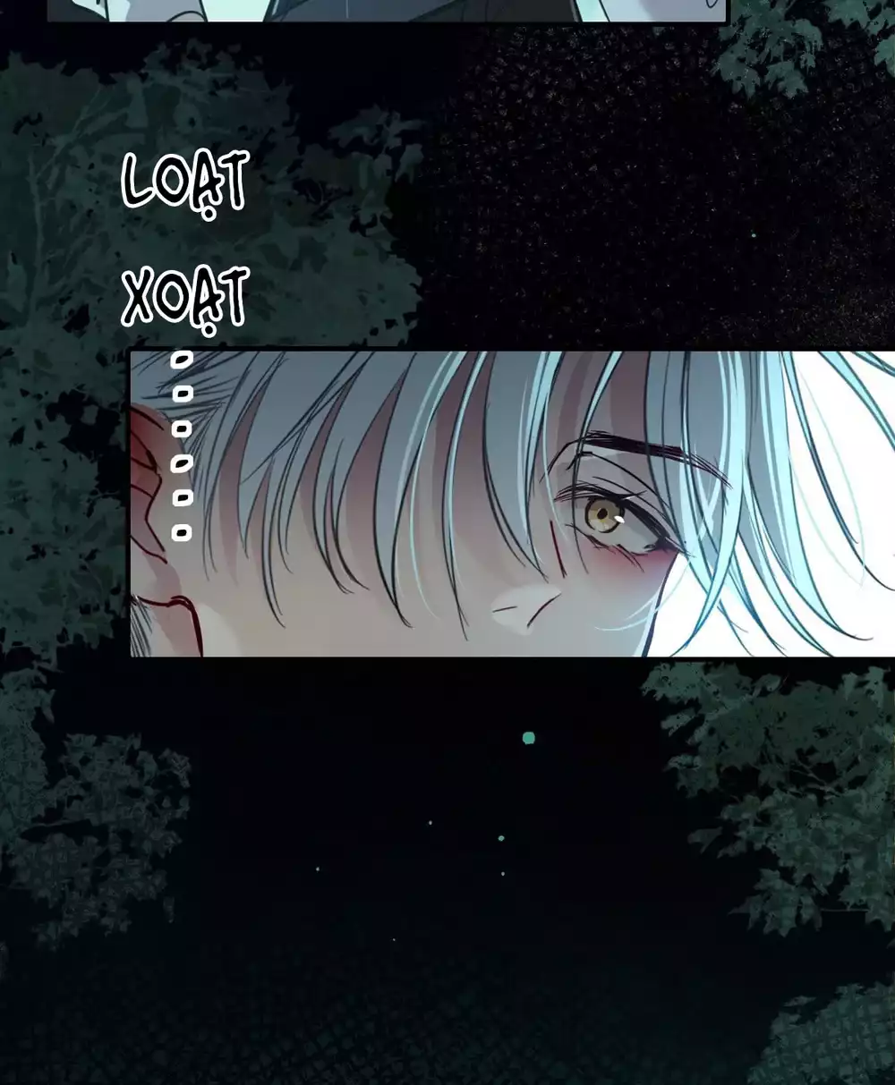 Tình yêu của kẻ khát máu Chapter 43 - Next 