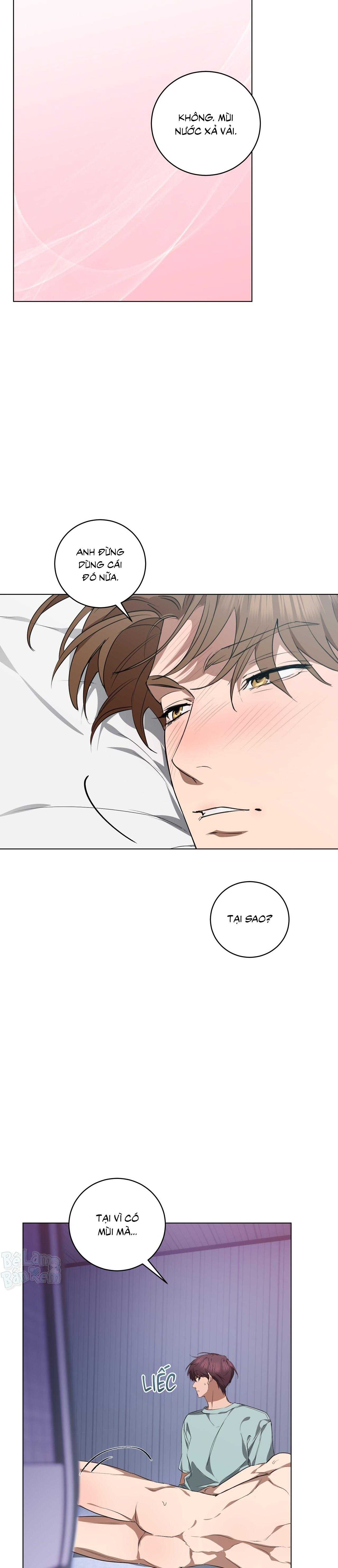 TÌNH YÊU KẸO BẠC HÀ Chapter 25 H+ - Next 