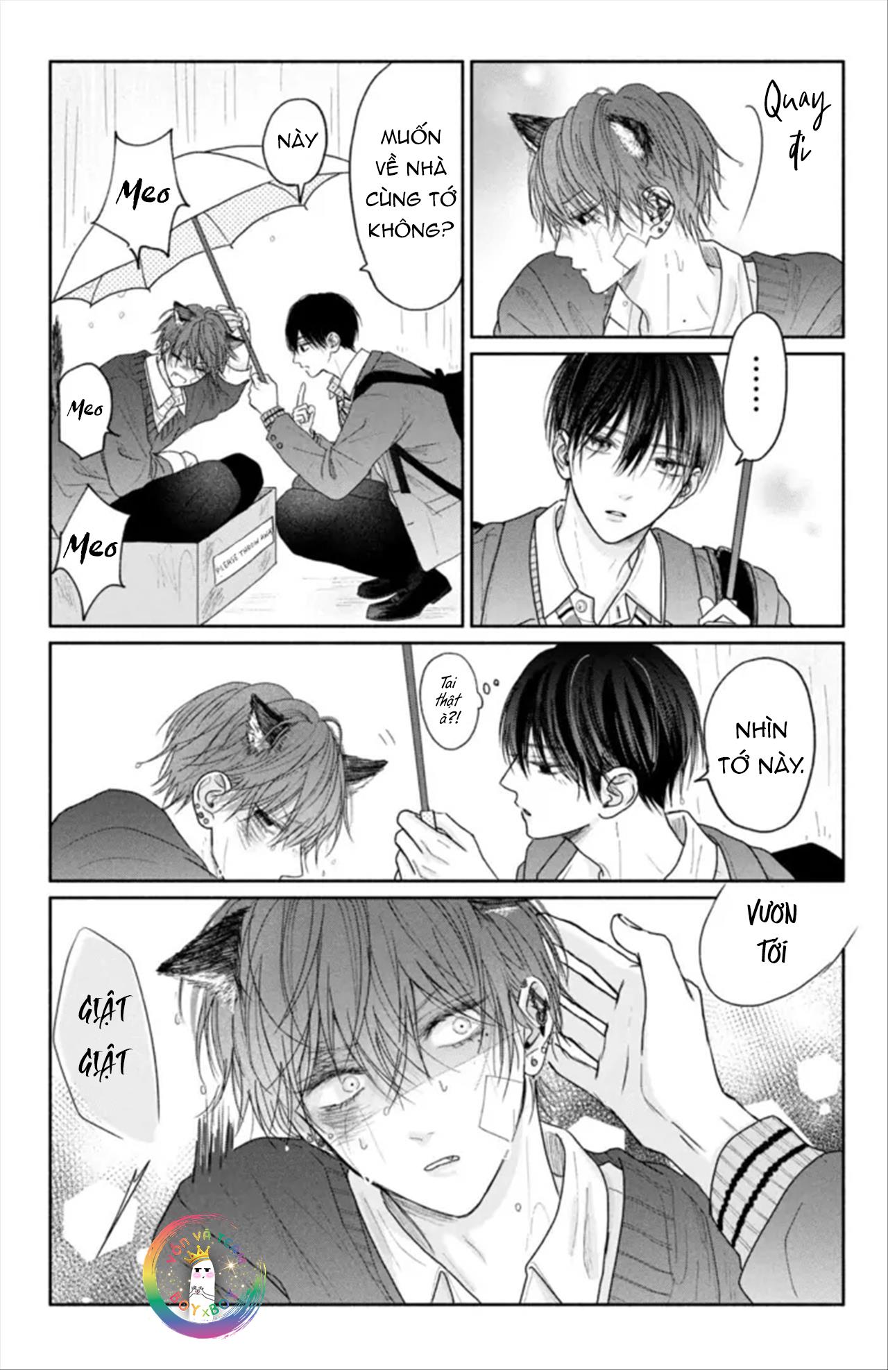 Tình Yêu Không Thể Giấu Chapter 4.5 2