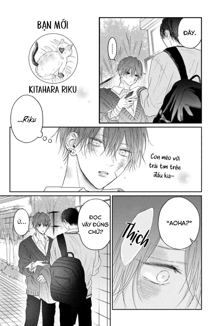 Tình Yêu Không Thể Giấu Chapter 4 4