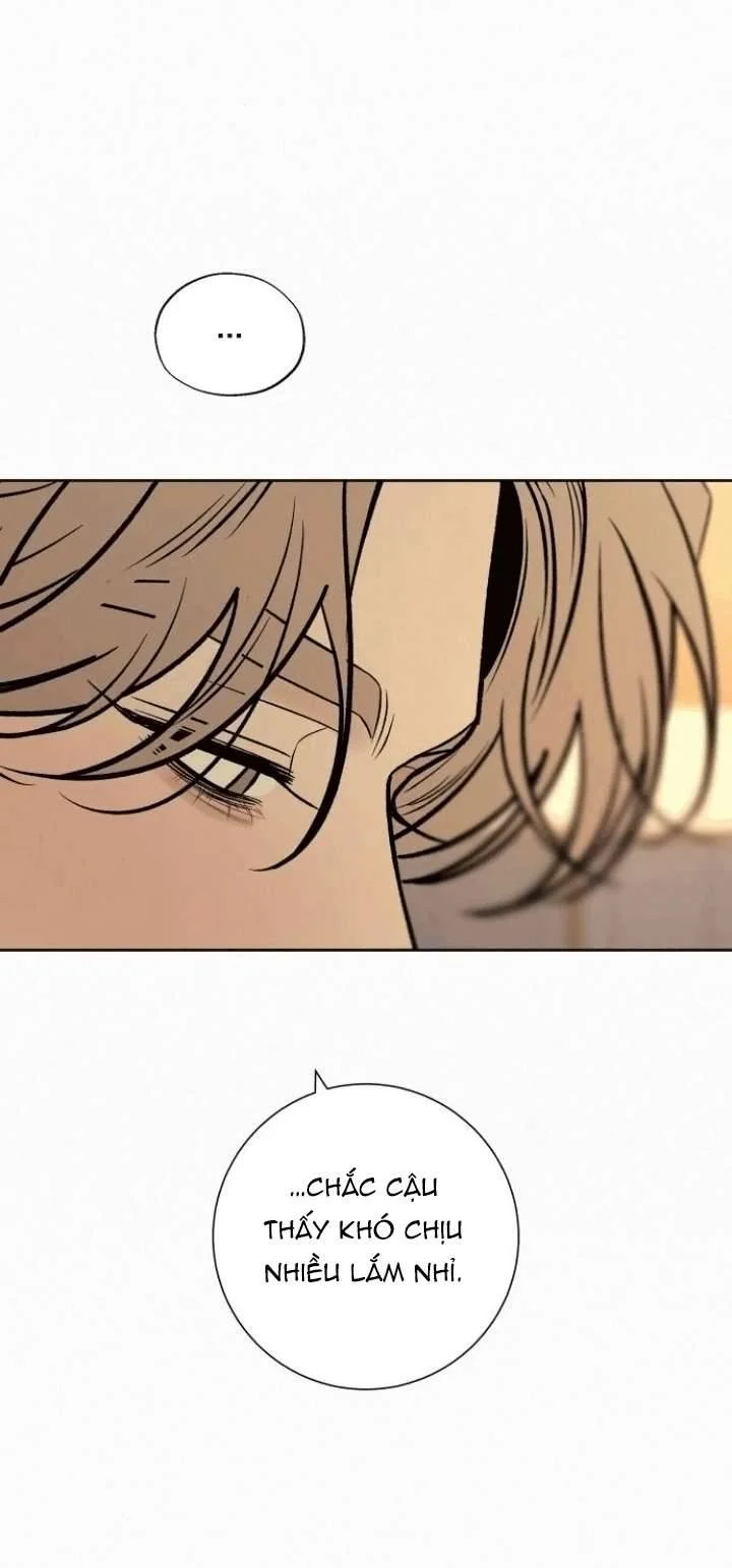 Tình Yêu Trong Sáng Chapter 127 - Trang 2