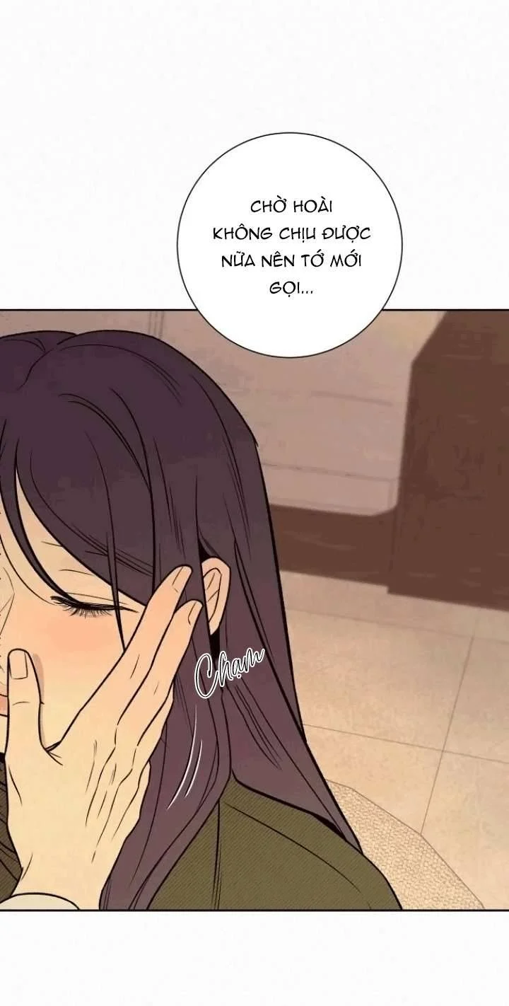 Tình Yêu Trong Sáng Chapter 127 - Trang 2