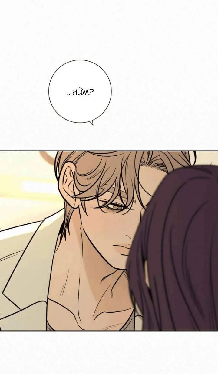 Tình Yêu Trong Sáng Chapter 127 - Trang 2