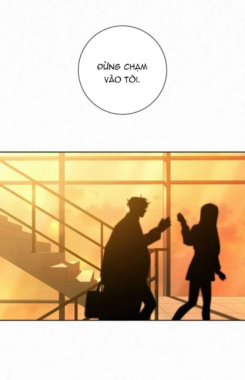 Tình Yêu Trong Sáng Chapter 128 - Trang 2