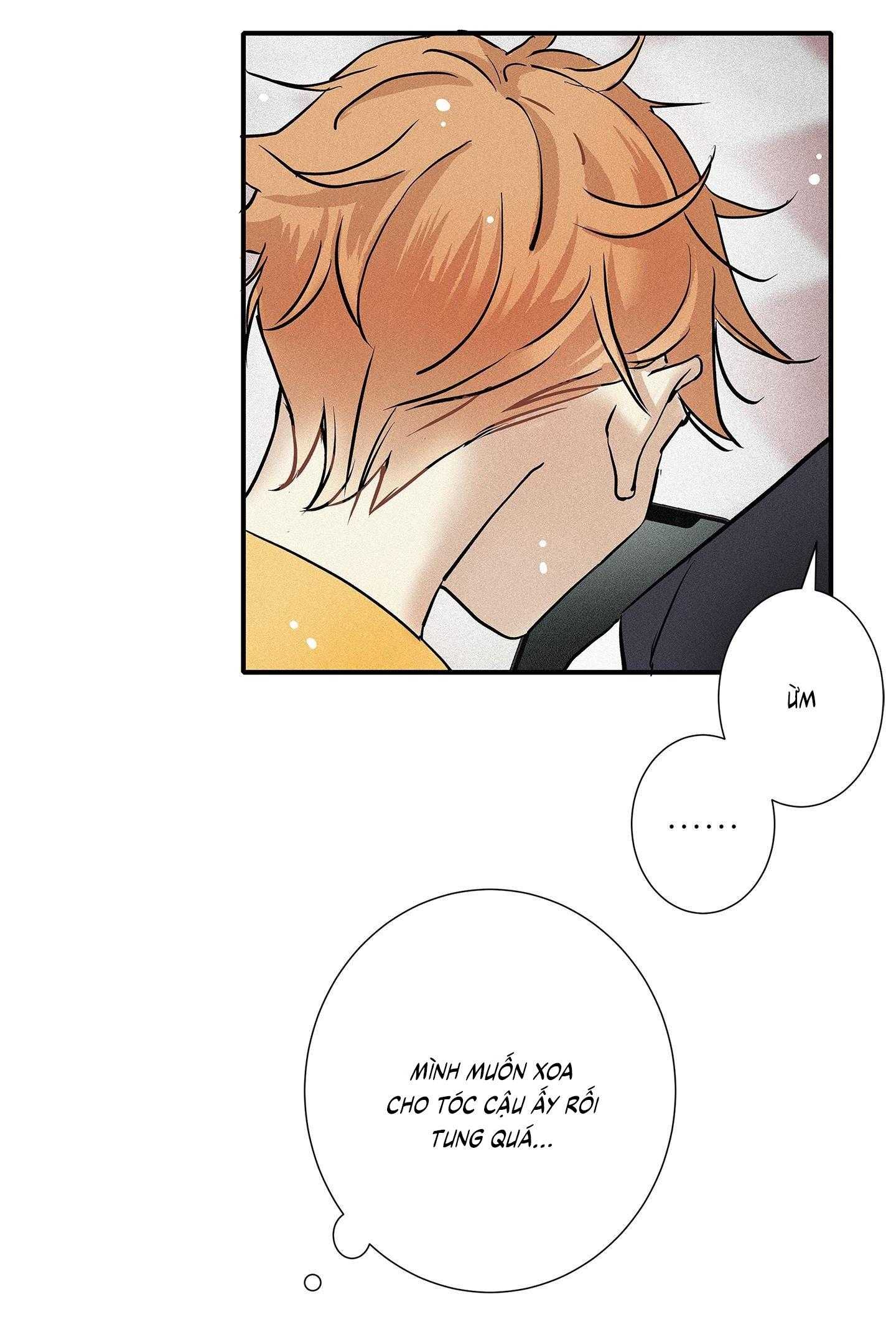 Tình Yêu Và Danh Vọng Chapter 72 - Next 