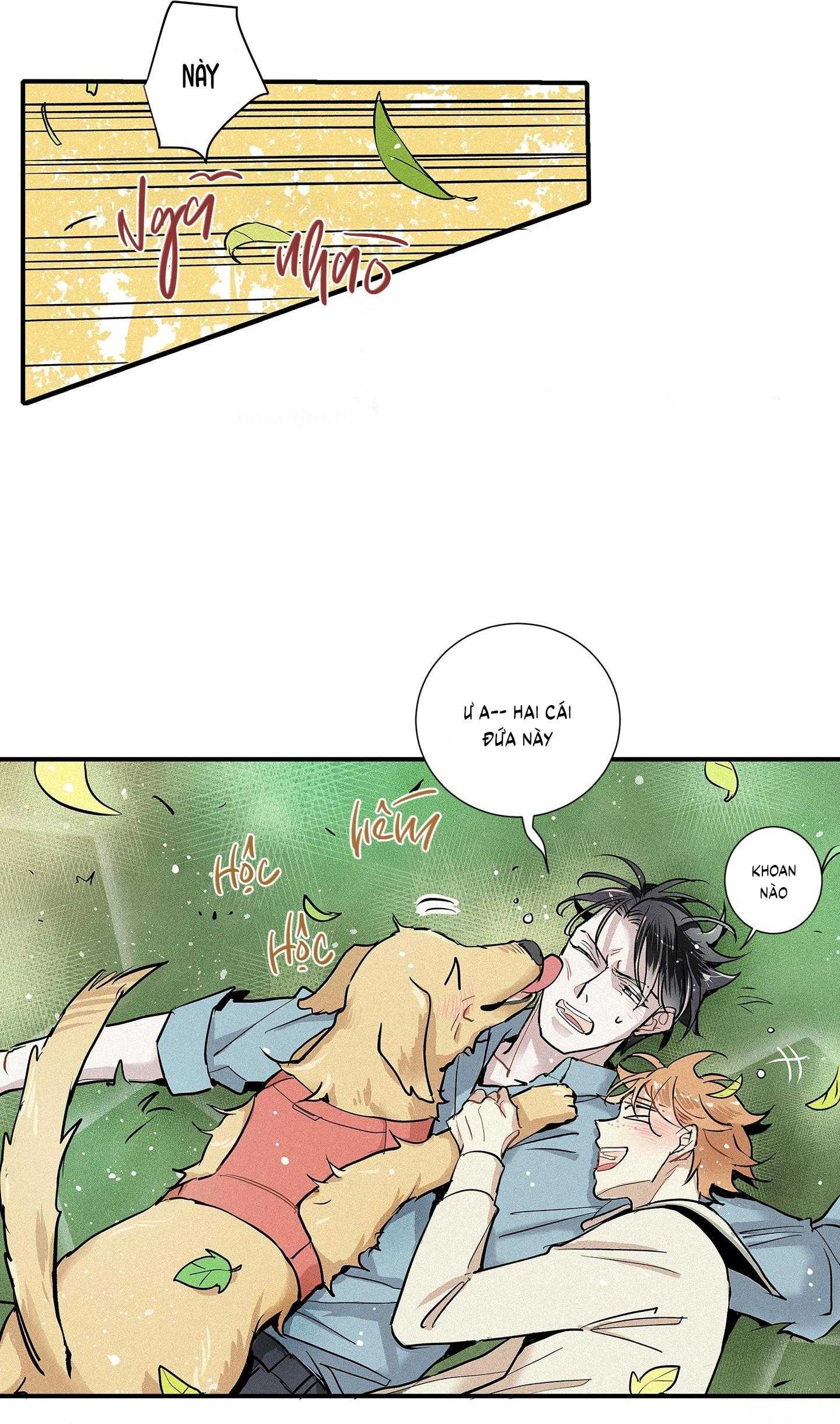 Tình Yêu Và Danh Vọng Chapter 75 - Trang 2