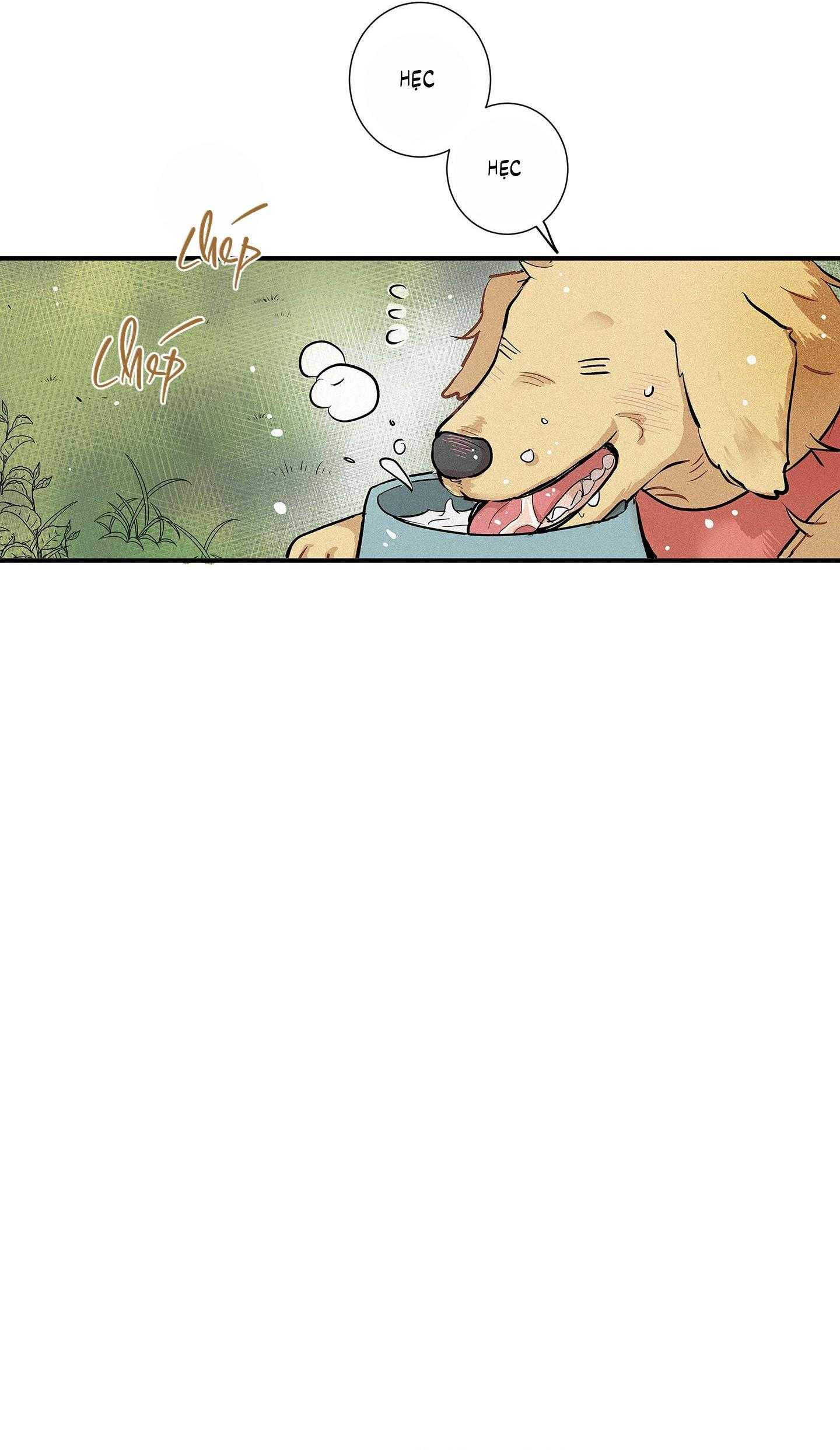 Tình Yêu Và Danh Vọng Chapter 75 - Trang 2