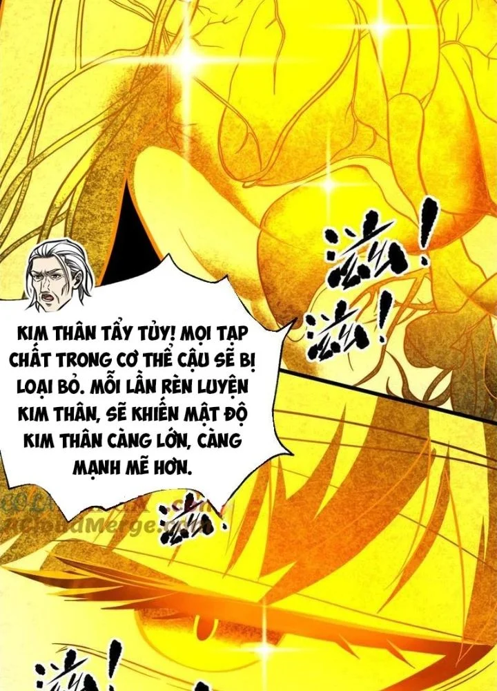 Toàn Cầu Cao Võ Chapter 310 - Trang 2