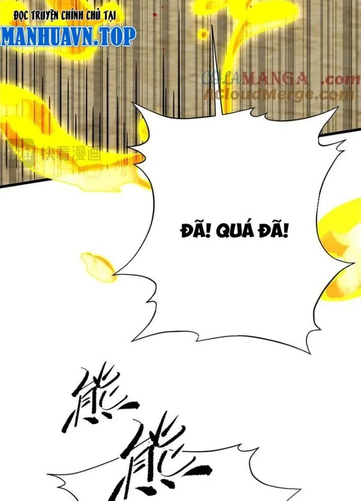 Toàn Cầu Cao Võ Chapter 310 - Trang 2