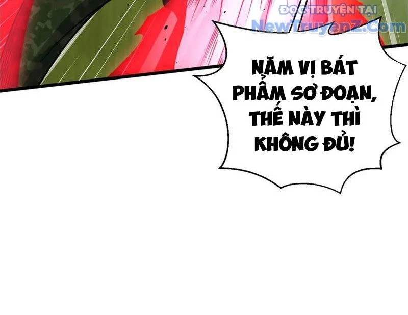 Toàn Cầu Cao Võ Chapter 311 - Trang 2