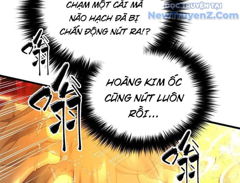 Toàn Cầu Cao Võ Chapter 311 - Trang 2