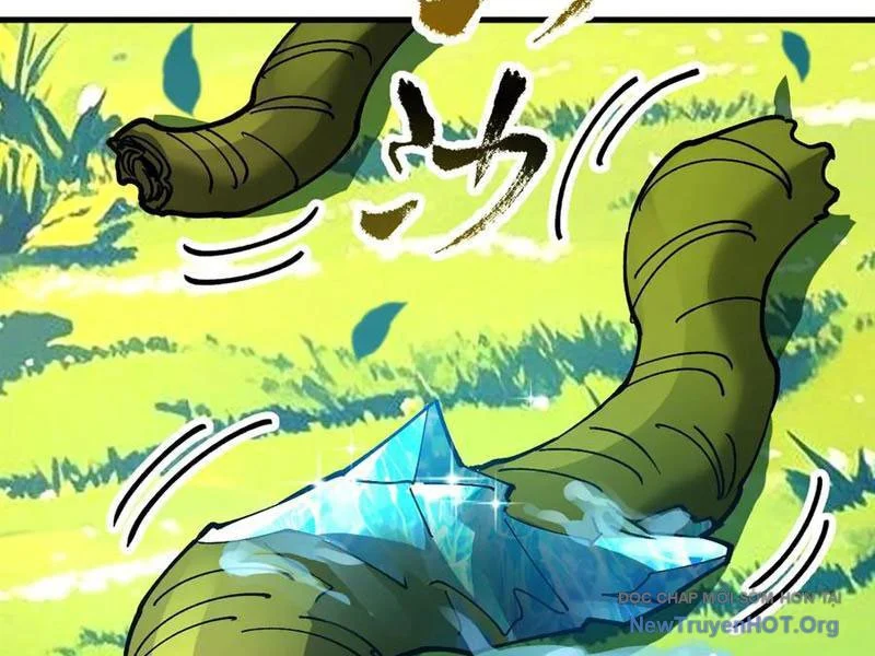 Toàn Cầu Ngự Thú: Ta Có Thể Thấy Lộ Tuyến Tiến Hoá Chapter 26 - Trang 2