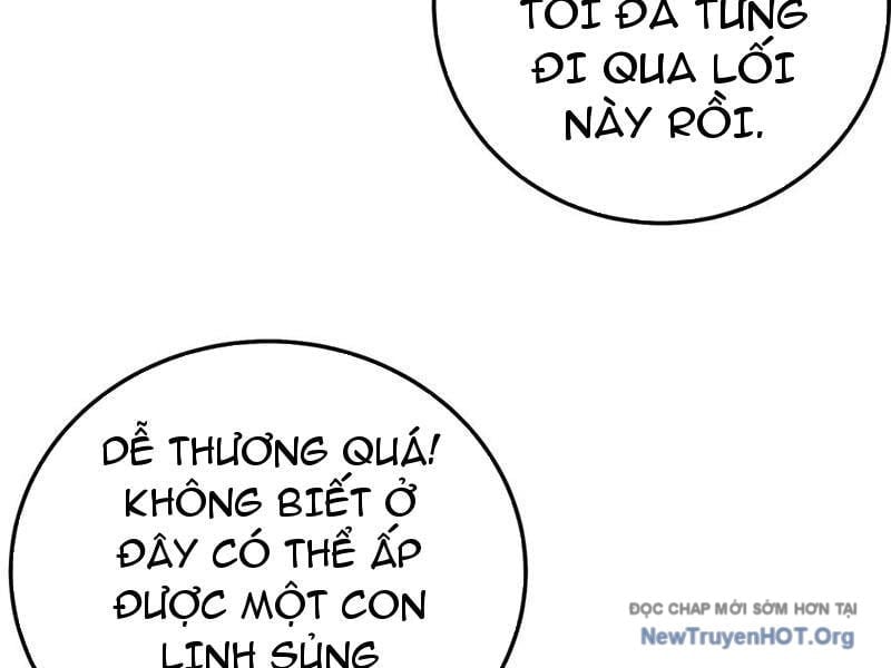 Toàn Dân Chuyển Chức: Bị Động Của Ta Vô Địch Chapter 102 - Next 