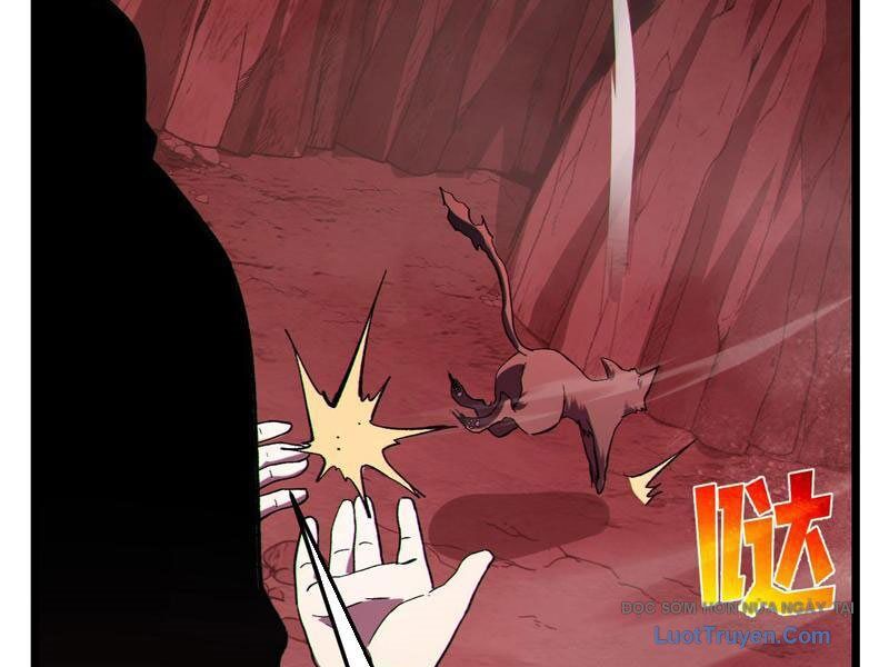 Toàn Dân Chuyển Chức: Bị Động Của Ta Vô Địch Chapter 116 - Trang 2