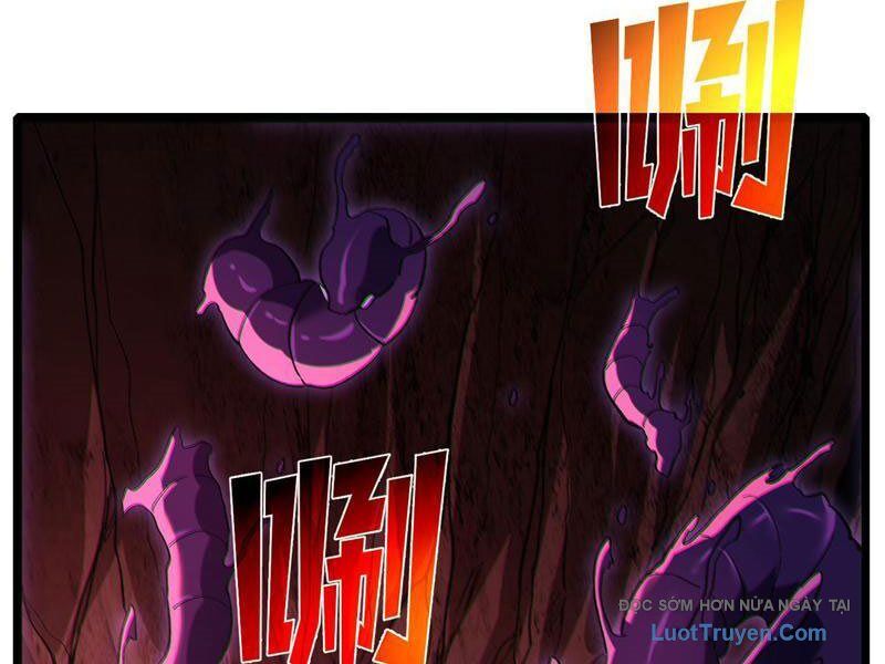 Toàn Dân Chuyển Chức: Bị Động Của Ta Vô Địch Chapter 116 - Trang 2