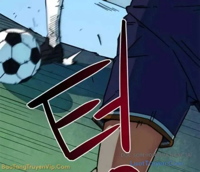 Tôi Bị Hiểu Lầm Là Siêu Sao Trên Sân Cỏ Chapter 39 - Trang 2