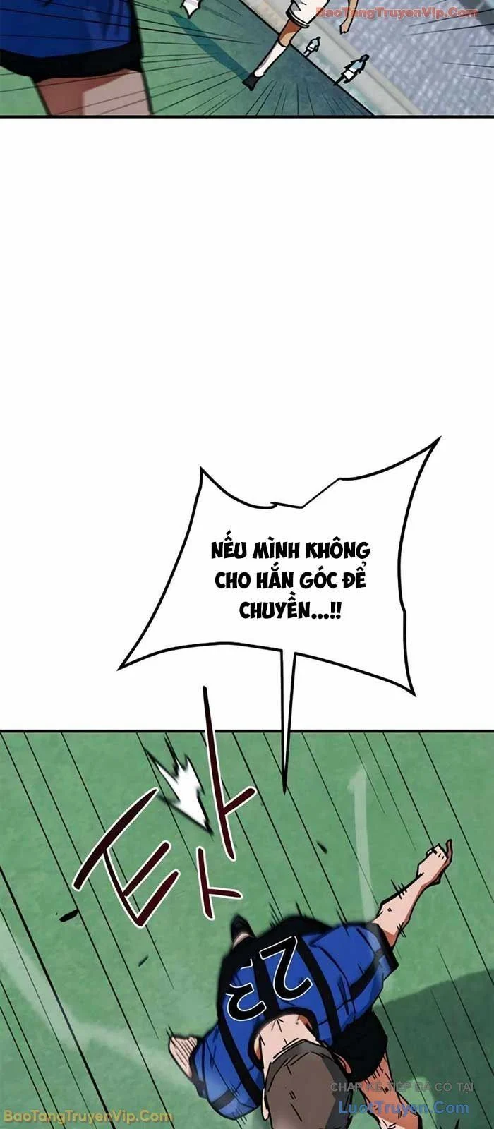 Tôi Bị Hiểu Lầm Là Siêu Sao Trên Sân Cỏ Chapter 44 - Trang 2