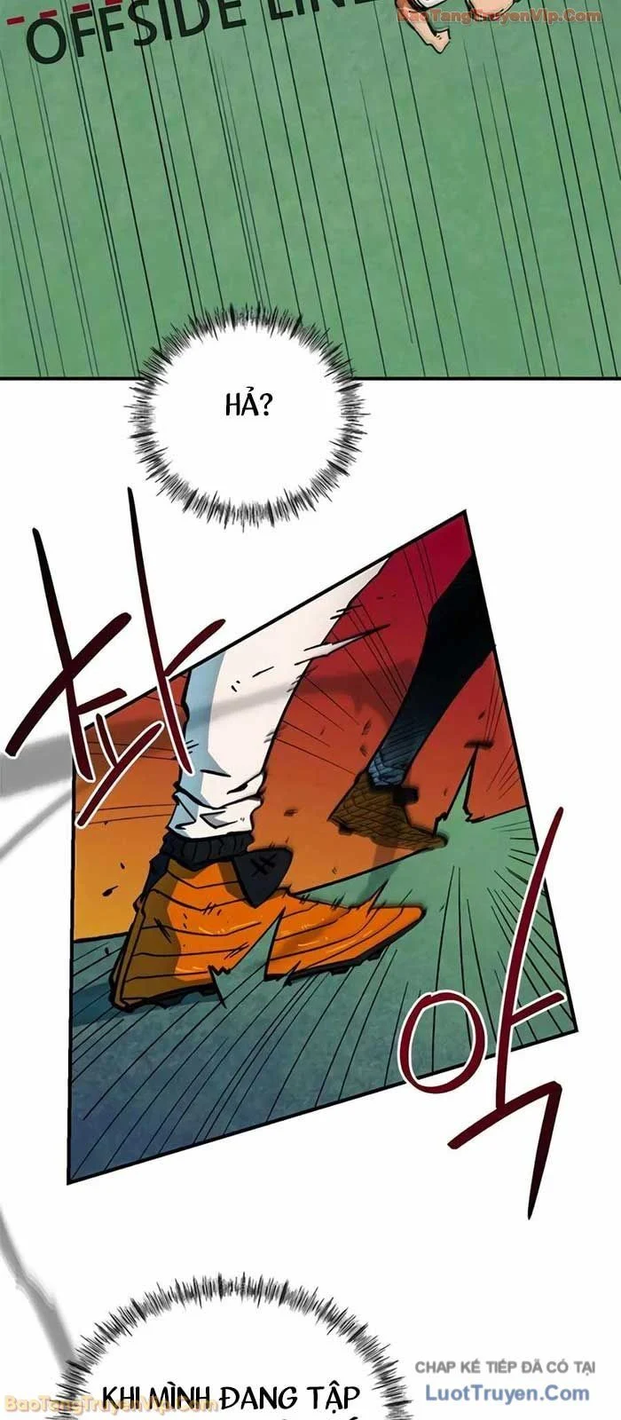 Tôi Bị Hiểu Lầm Là Siêu Sao Trên Sân Cỏ Chapter 44 - Trang 2