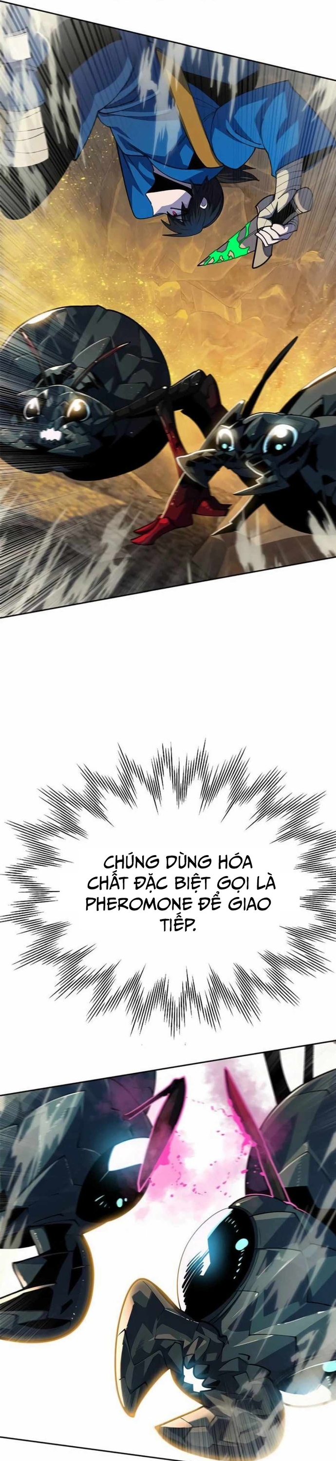 Tôi Chỉ Là Người Khuân Vác Trong Hầm Ngục Chapter 21 - Trang 2