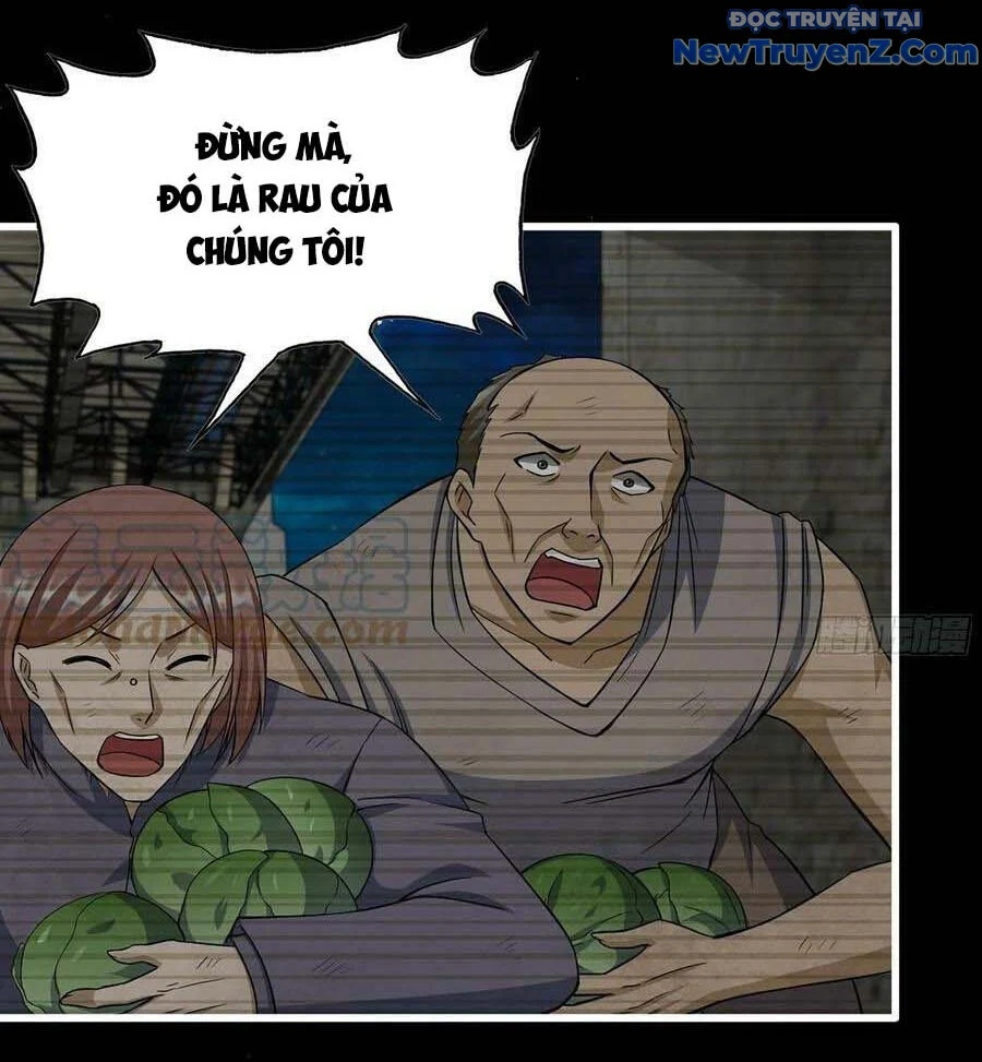 Tôi Chuyển Vàng Tại Mạt Thế Chapter 503 - Trang 2