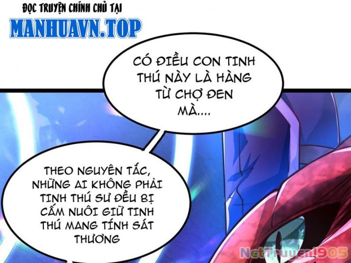 Tối Cường Tinh Thú Sư Chapter 2 14