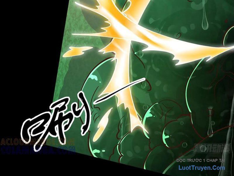 Tối Cường Tinh Thú Sư Chapter 26 - Trang 2