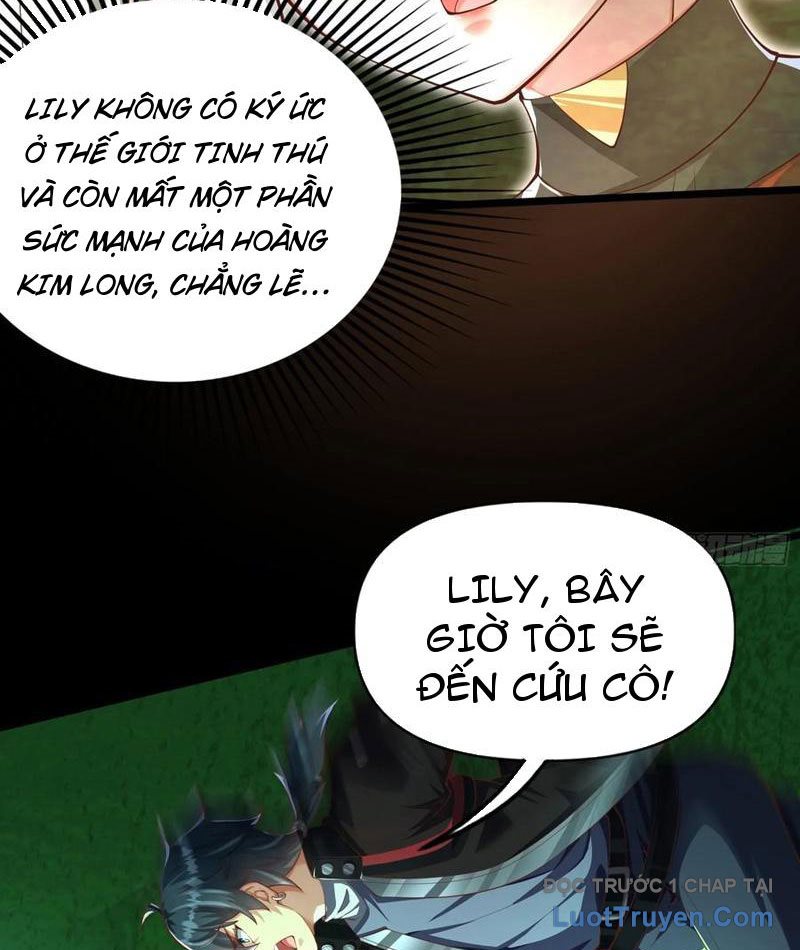 Tối Cường Tinh Thú Sư Chapter 27 - Trang 2