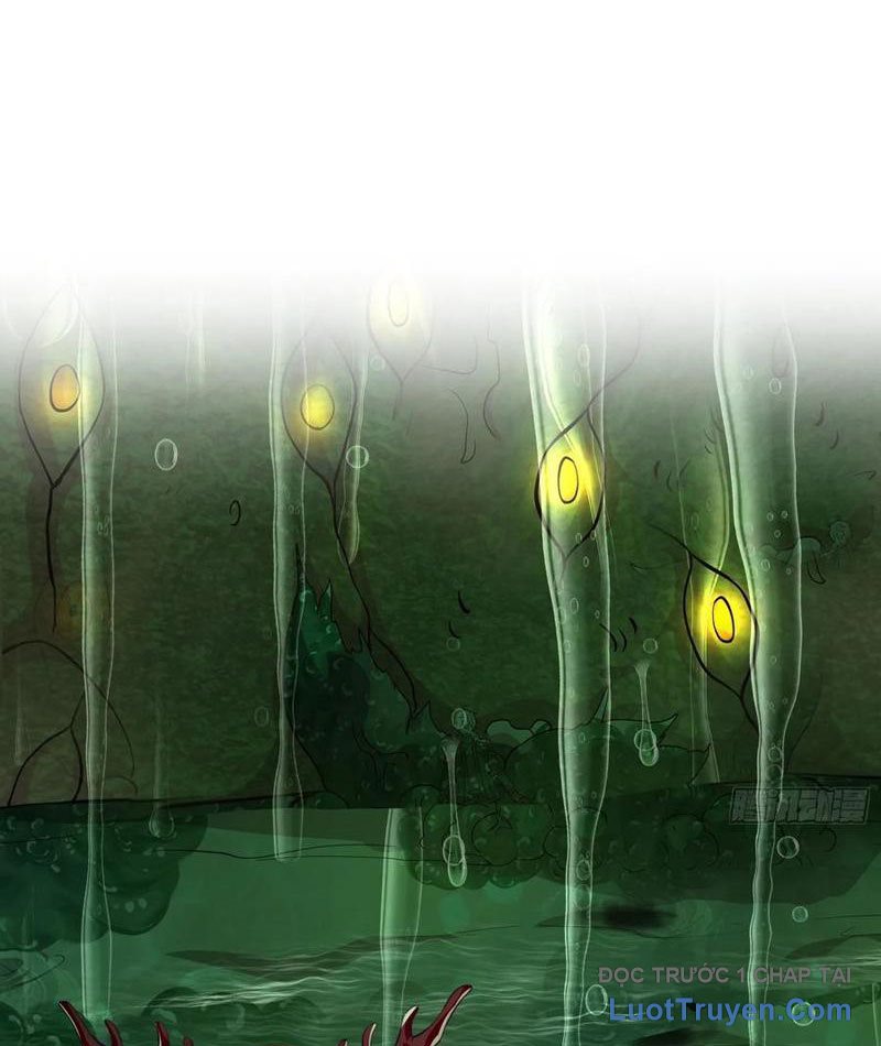 Tối Cường Tinh Thú Sư Chapter 27 - Trang 2