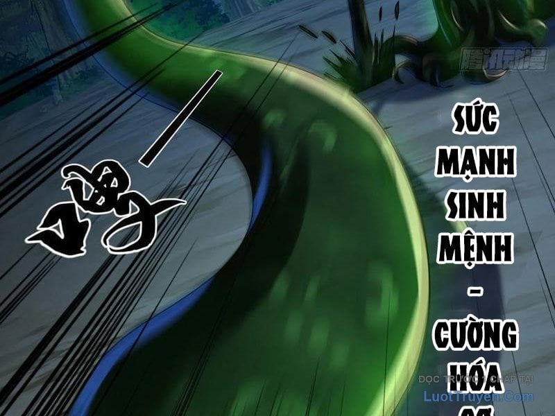 Tối Cường Tinh Thú Sư Chapter 28 - Trang 2