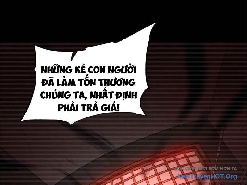 Tối Cường Tinh Thú Sư Chapter 9 34