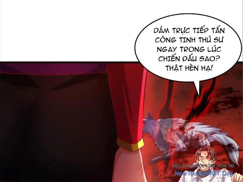 Tối Cường Tinh Thú Sư Chapter 9 43