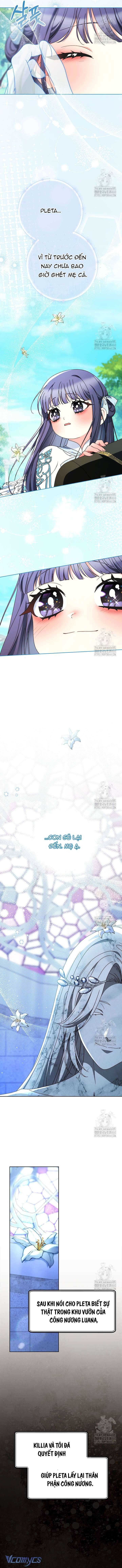 Tôi Đã Nuôi Dạy Em Gái Mình Một Cách Hoàn Hảo Chapter 70 11