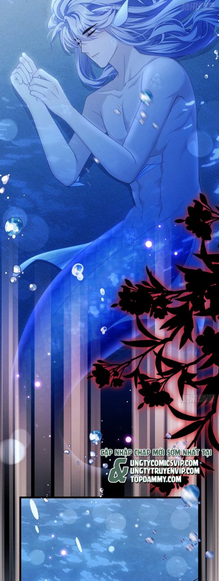 Tôi Hoài Nghi Ảnh Đế Đang Theo Đuổi Tôi Chapter 126 - Next Chapter 127
