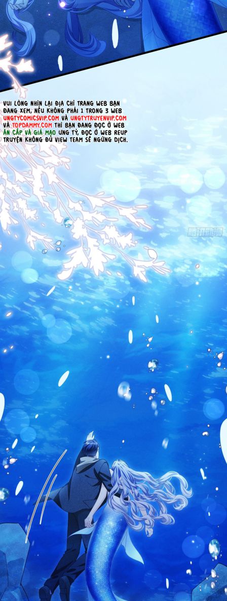 Tôi Hoài Nghi Ảnh Đế Đang Theo Đuổi Tôi Chapter 126 - Next Chapter 127