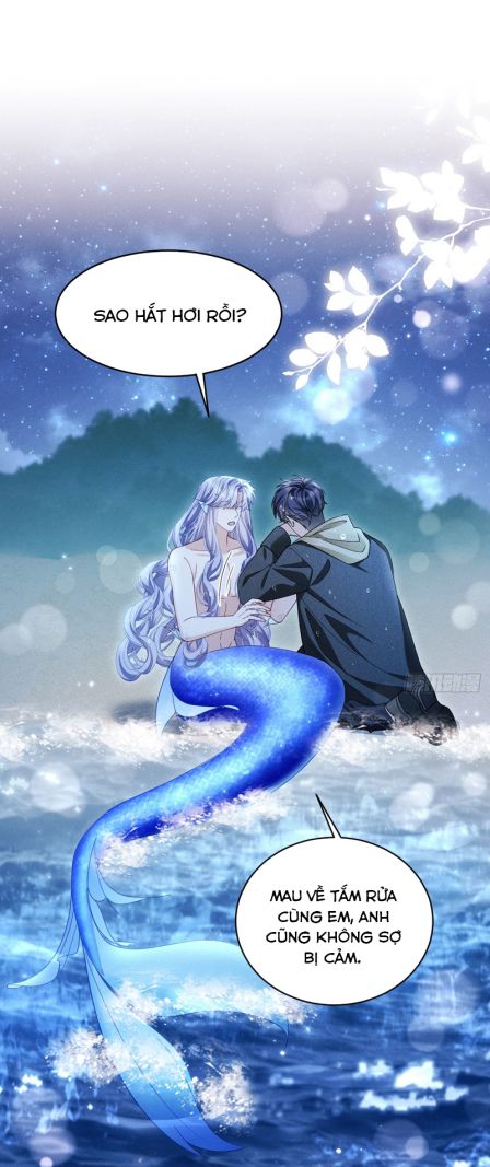 Tôi Hoài Nghi Ảnh Đế Đang Theo Đuổi Tôi Chapter 126 - Next Chapter 127