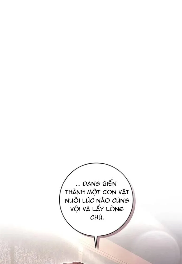 Tôi Không Muốn Chết Lần Nữa! Chapter 52 75